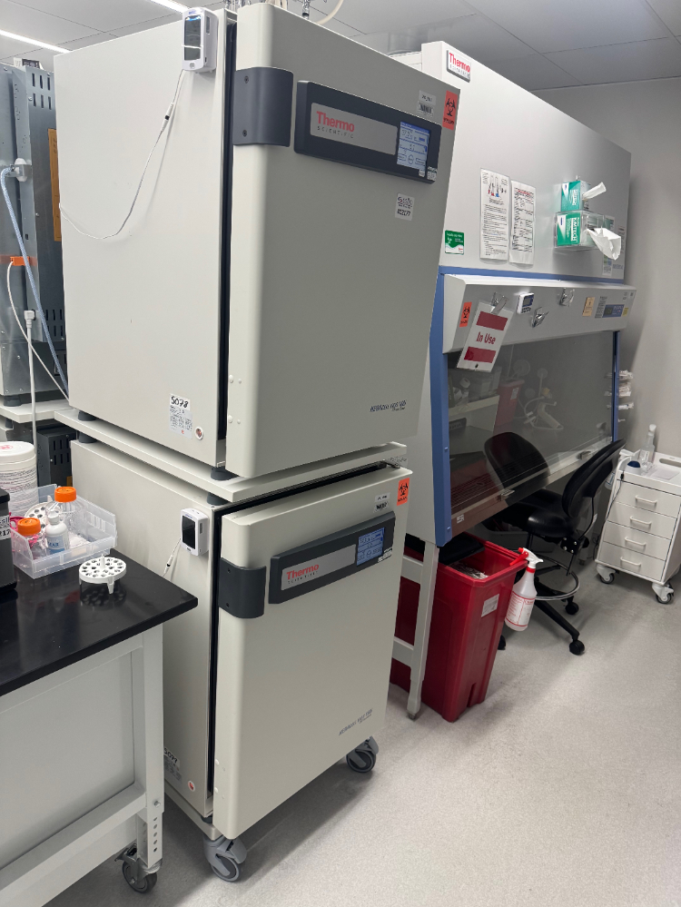 Image of Thermo HERAcell Vios 160i Double Stack CO2 Incubator